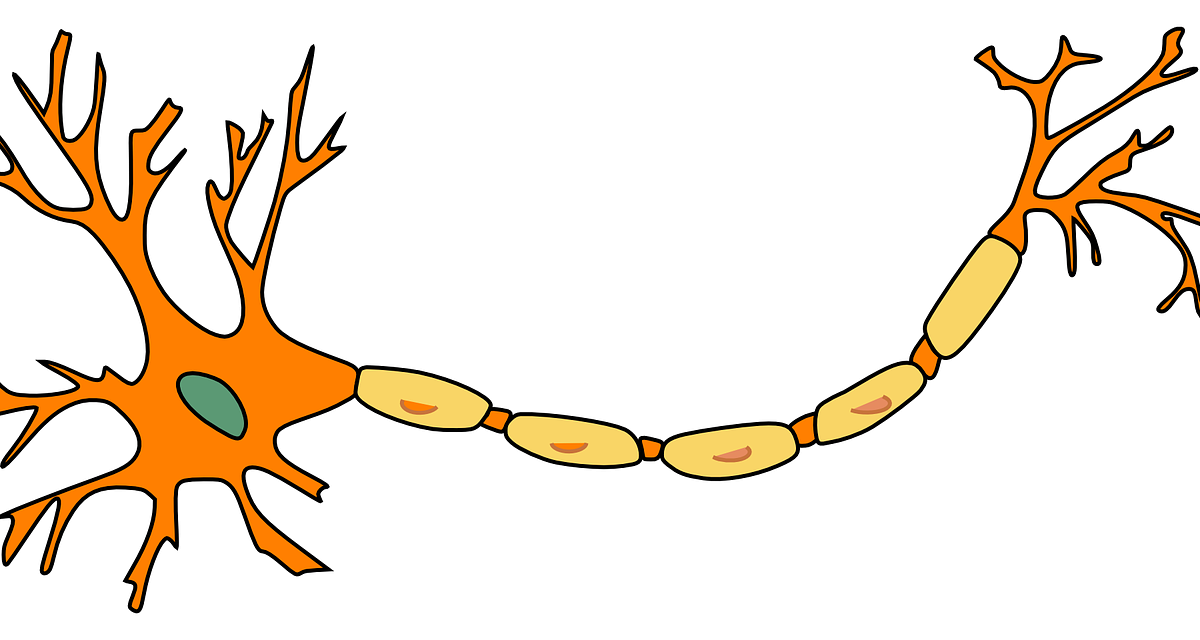 Cell therapy based on neuronal precursors for the treatment of multiple sclerosis